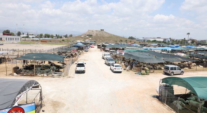 Akdeniz’de Kurban Satış Yerleri hazır