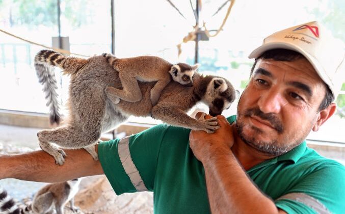 Tarsus Doğa Parkı yeni üyelerine ‘Merhaba’ diyor
