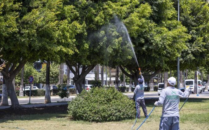 Büyükşehir ilaçlama ekipleri haşereye geçit vermiyor