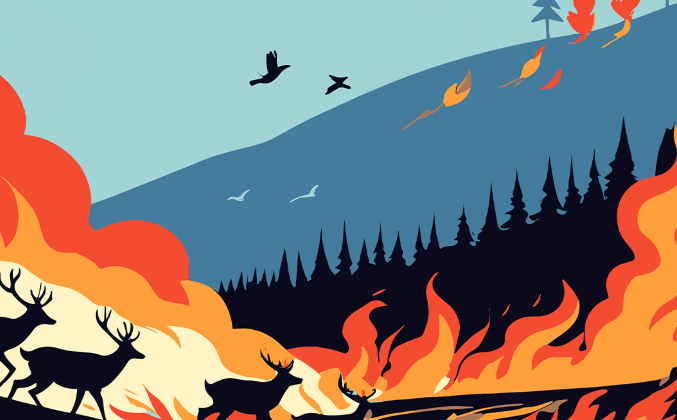 “Yangından Kurtulan Canlar Kurşunla Ölmesin”