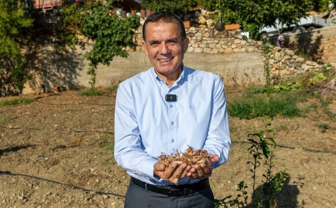 Başkan Özyiğit, “Yenişehir safranla anılan bir kent haline gelecek”