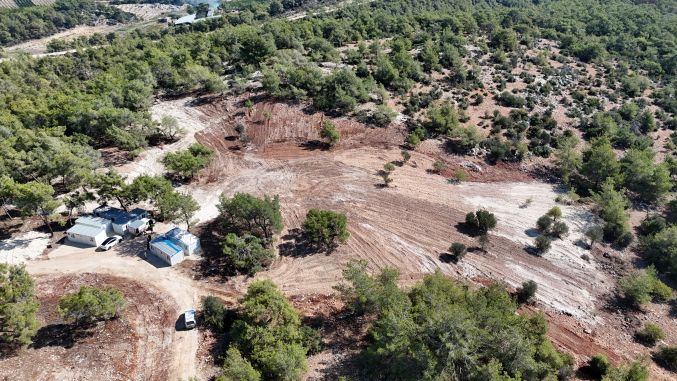 Mezitli Belediyesi’nden sokak hayvanları için “Doğal Yaşam Alanı” projesi