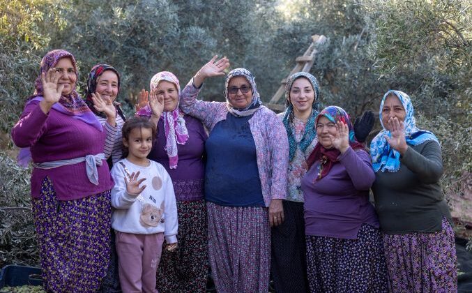 Fidan desteği alan çiftçiler hasada başladı