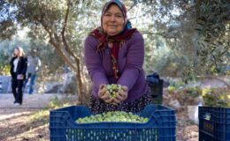 Büyükşehir üreten kadının yüzünü güldürüyor
