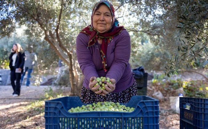 Büyükşehir üreten kadının yüzünü güldürüyor