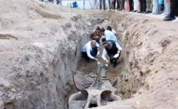 Vali Toros, Fin Balinası iskeletinin kazı çalışmasına katıldı