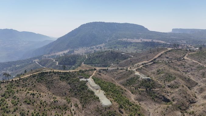 Türkiye’de bir ilk! Yenişehir’de Arı merası kuruldu