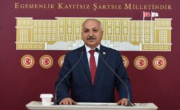 Mersin Milletvekili Talat Dinçer: Bir çocuk daha kaybetmeye tahammülümüz yok