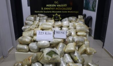 Mersin Polis, yurtdışından tırla taşınan 223 kilo uyuşturucu yakaladı; Tır şoförü tutulandı