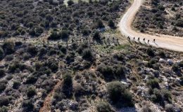 Mersin’e değer katan yürüyüş projesi