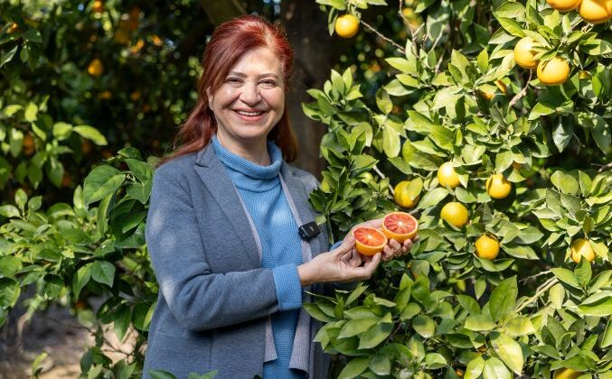 Mersin “Kan Portakalı” coğrafi işaret tescilini aldı