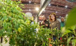 Seçer: Tarımın olmadığı yerde sosyal sorunlar artar