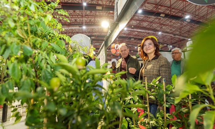 Seçer: Tarımın olmadığı yerde sosyal sorunlar artar