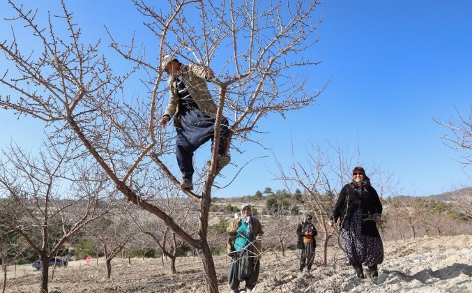 Mersin’de organik tarım yaygınlaşıyor