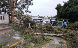 Akdeniz Belediyesi, yağmur ve fırtınaya karşı teyakkuzda