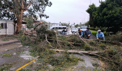 Akdeniz Belediyesi, yağmur ve fırtınaya karşı teyakkuzda