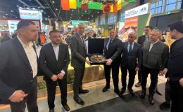 Türk Yaş Meyve Sebze İhracatı Ocak’ta yüzde 45 sıçradı, mandalina lokomotif oldu