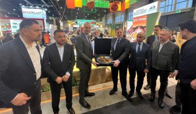 Türk Yaş Meyve Sebze İhracatı Ocak’ta yüzde 45 sıçradı, mandalina lokomotif oldu