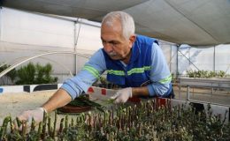 Akdeniz Belediyesi’nden yeşil alanlara sürdürülebilir katkı