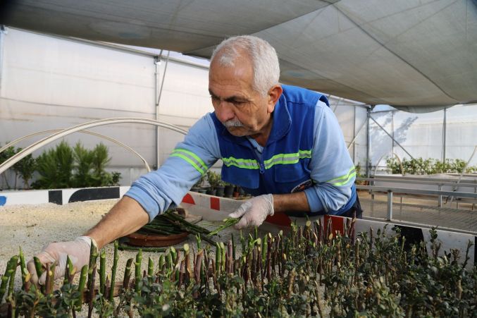 Akdeniz Belediyesi’nden yeşil alanlara sürdürülebilir katkı