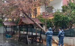 Yenişehir Belediyesi fırtınaya karşı seferber oldu!