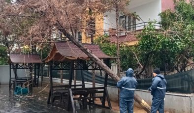 Yenişehir Belediyesi fırtınaya karşı seferber oldu!