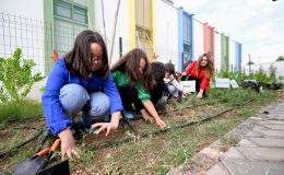 Minik doğaseverler Doğa Atölyesi’nde ata tohumlarını filizlendiriyor