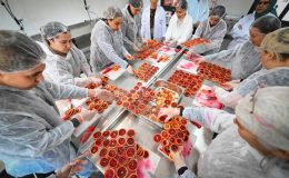 Coğrafi işaretli Kan Portakalı Kadın Emeği ile değer kazanıyor