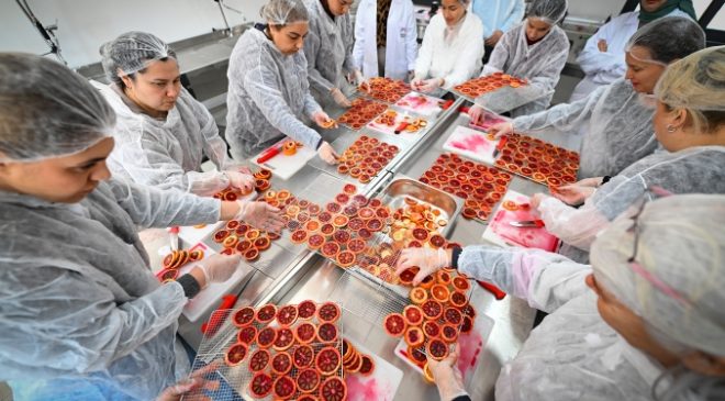 Coğrafi işaretli Kan Portakalı Kadın Emeği ile değer kazanıyor