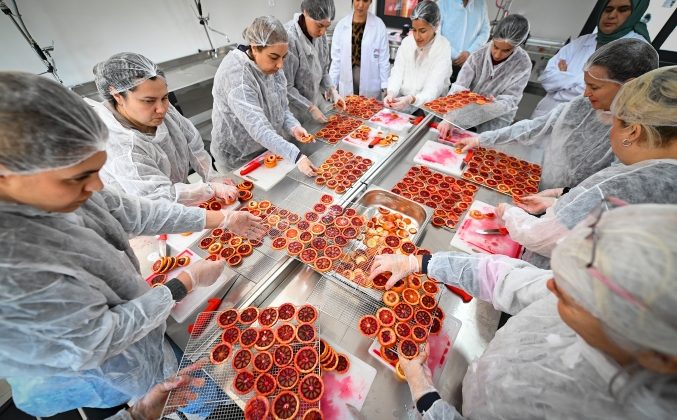 Coğrafi işaretli Kan Portakalı Kadın Emeği ile değer kazanıyor