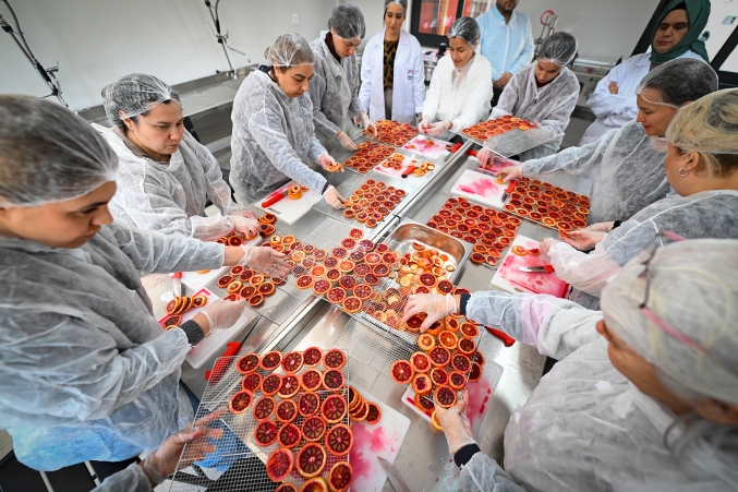 Coğrafi işaretli Kan Portakalı Kadın Emeği ile değer kazanıyor