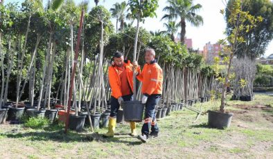 Büyükşehir’den ‘Ağaçlandırma Kampanyası’