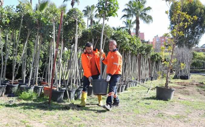 Büyükşehir’den ‘Ağaçlandırma Kampanyası’