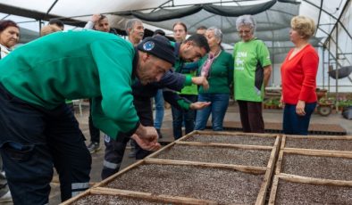 Yenişehir’de ‘Ekolojik Tarım’ hamlesi; 10 bin tıbbi ve aromatik bitki toprağa ekildi