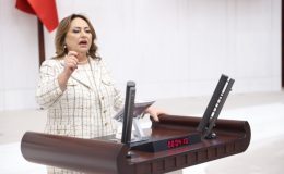 “0850 terörüne meclis el atmalıdır”