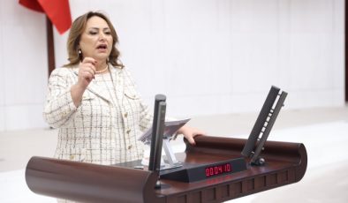 “0850 terörüne meclis el atmalıdır”